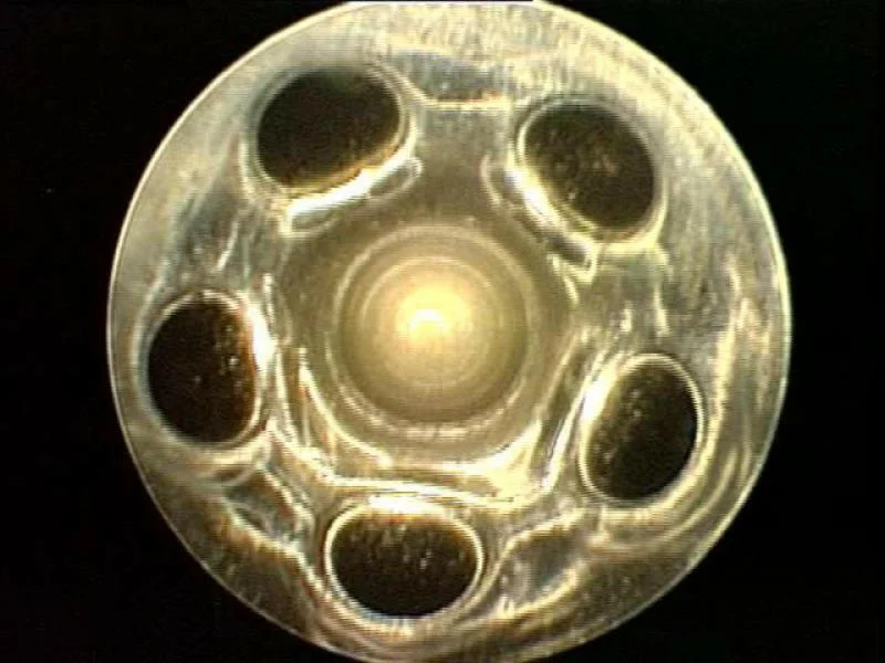 2026_02_11_1938251