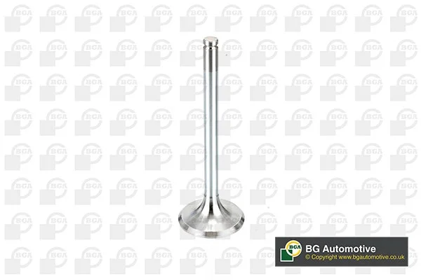 gsfcarparts202602101251261654645